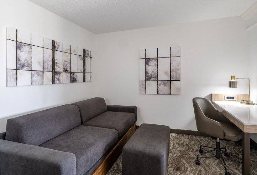 スイート, Springhill Suites By Marriott Colorado Springs South