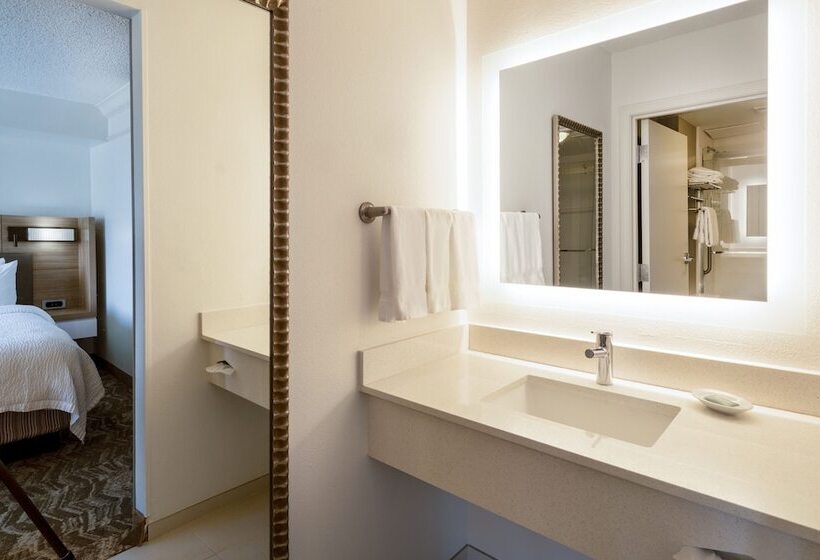 身障者適用スタンダードルーム, Springhill Suites By Marriott Colorado Springs South