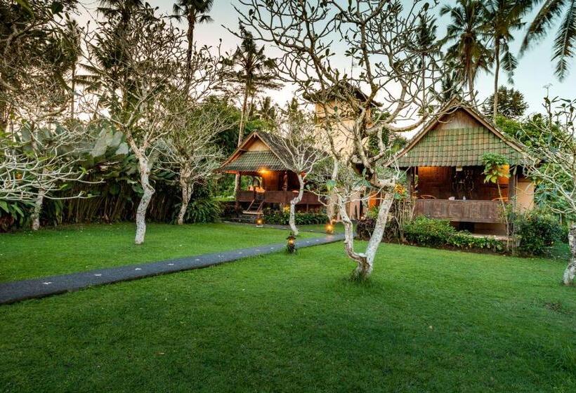 Хижина, Tanah Merah Art Resort