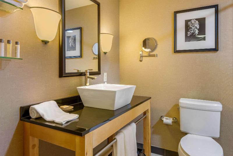 Люкс Кровать Кинг, Cambria Hotel Ft Lauderdale, Airport South & Cruise Port