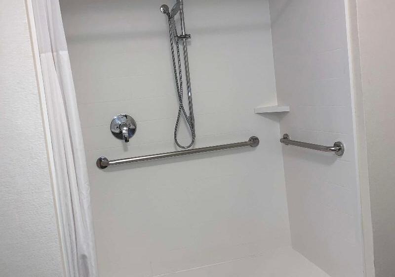 带大床的标准间, Hampton Inn & Suites Carson City