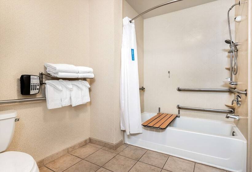 Номер Стандарт Кровать Кинг Адаптированный для Инвалидов, Hampton Inn & Suites Sacramentoelk Grove Laguna I5