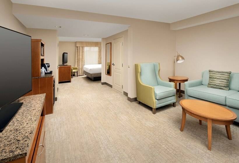 מיטת קינג בסוויטה, Hilton Garden Inn Atlanta West/lithia Springs