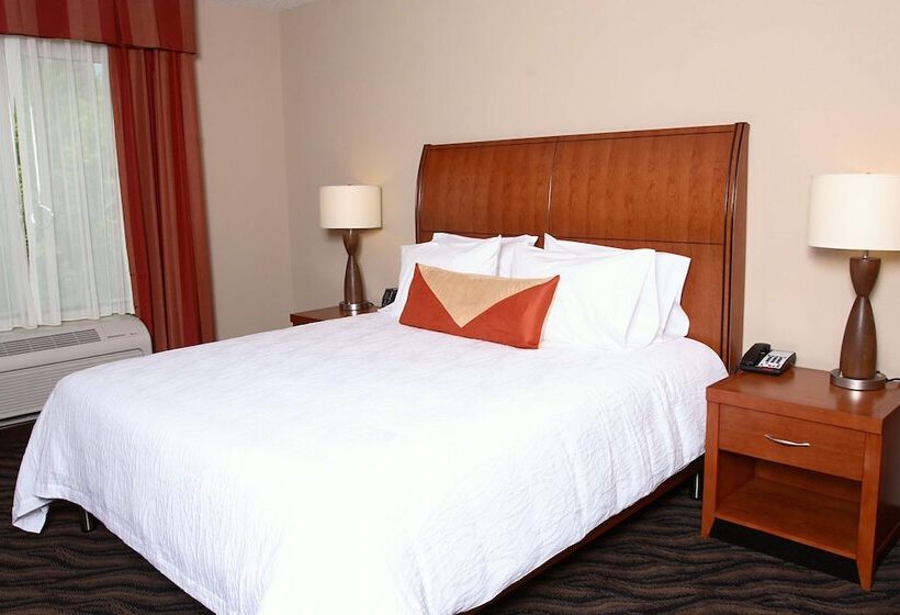 Полулюкс, Hilton Garden Inn Chesapeake/suffolk