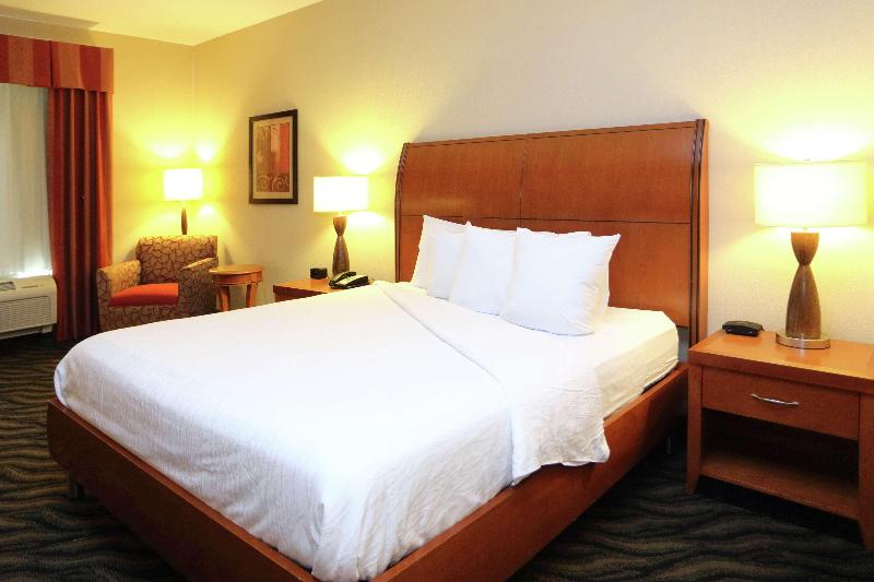 스탠다드 룸 킹사이즈 침대, Hilton Garden Inn Chesapeake/suffolk