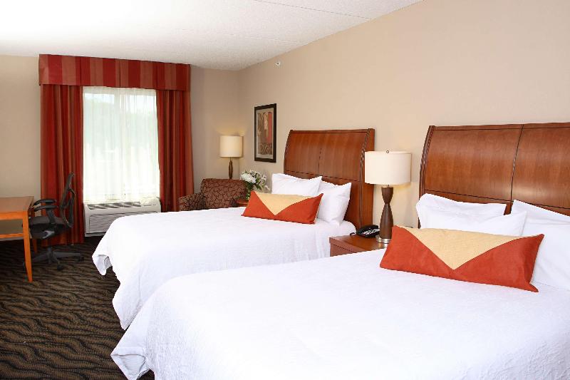 프리미엄 룸, Hilton Garden Inn Chesapeake/suffolk