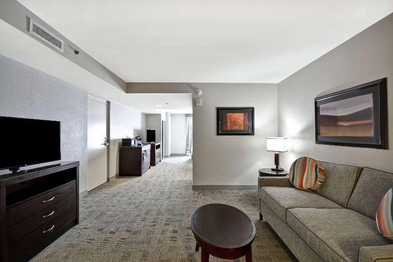 Полулюкс Кровать Кинг, Hilton Garden Inn Toledo Perrysburg