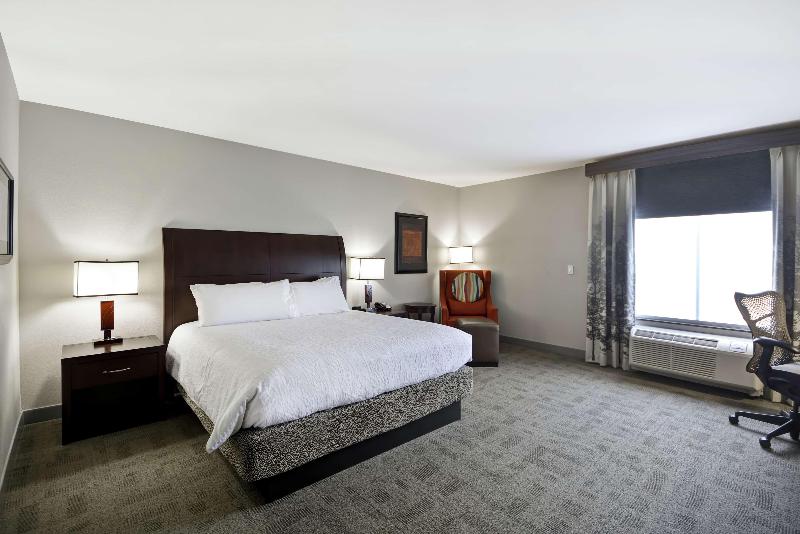 Стандартный Номер Кровать Кинг, Hilton Garden Inn Toledo Perrysburg