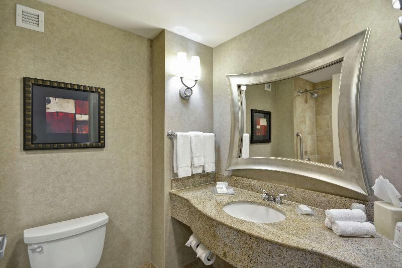 Стандартный Номер Кровать Кинг, Hilton Garden Inn Toledo Perrysburg