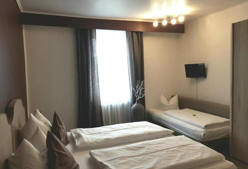Номер Стандарт Трехместный, Parkhotel Villingen Und Boardingzimmer