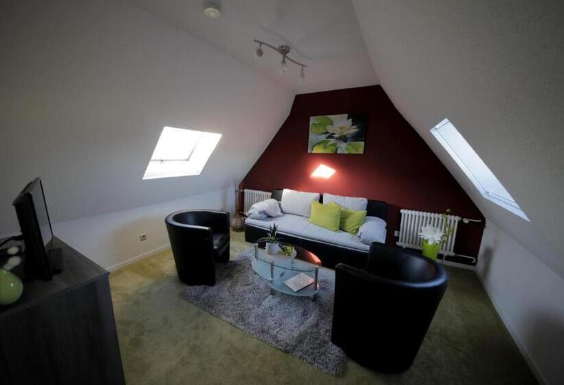 Апартаменты 1 Спальня, Parkhotel Villingen Und Boardingzimmer