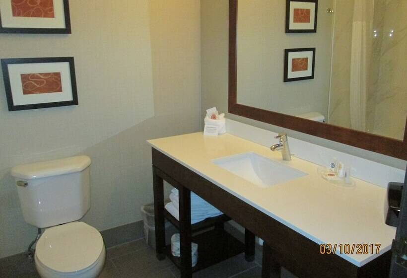 Люкс, Comfort Suites North