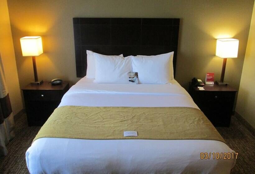 Люкс Адаптированный для Инвалидов, Comfort Suites North