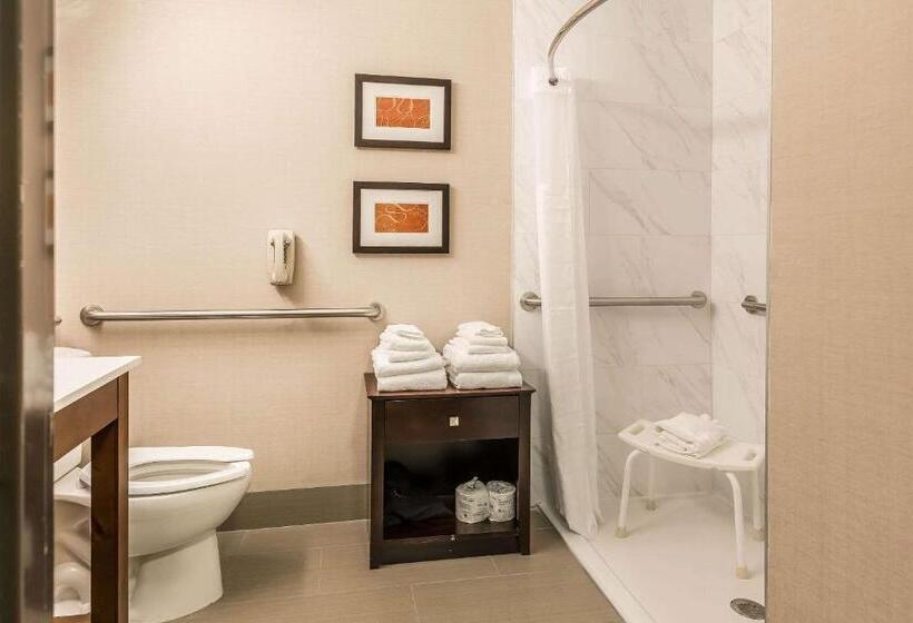 Люкс Адаптированный для Инвалидов, Comfort Suites North