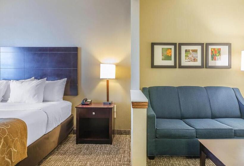 Люкс Кровать Кинг, Comfort Suites North