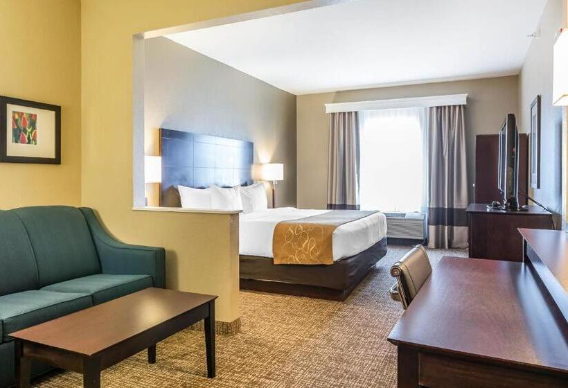 Suíte Cama King, Comfort Suites North