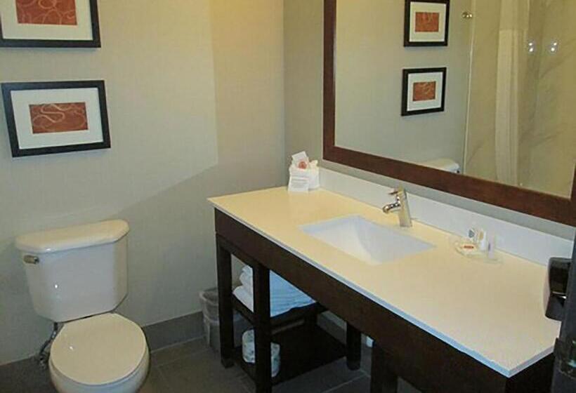 Люкс, Comfort Suites North