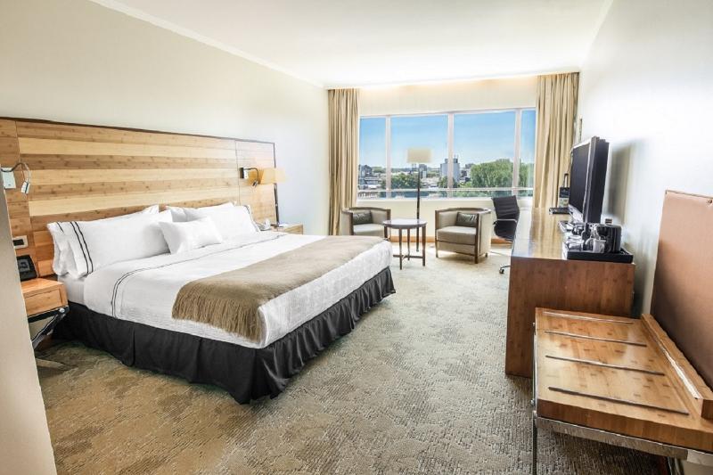 اتاق استاندارد, Sonesta Hotel Osorno
