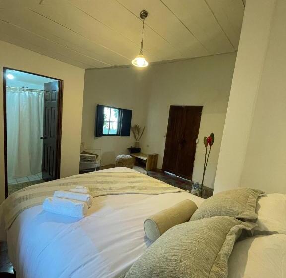 스탠다드 룸, Casa 1800 Los Naranjos Boutique