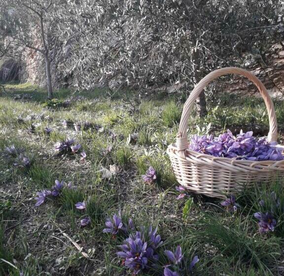 Номер Стандарт, Agriturismo L Arco