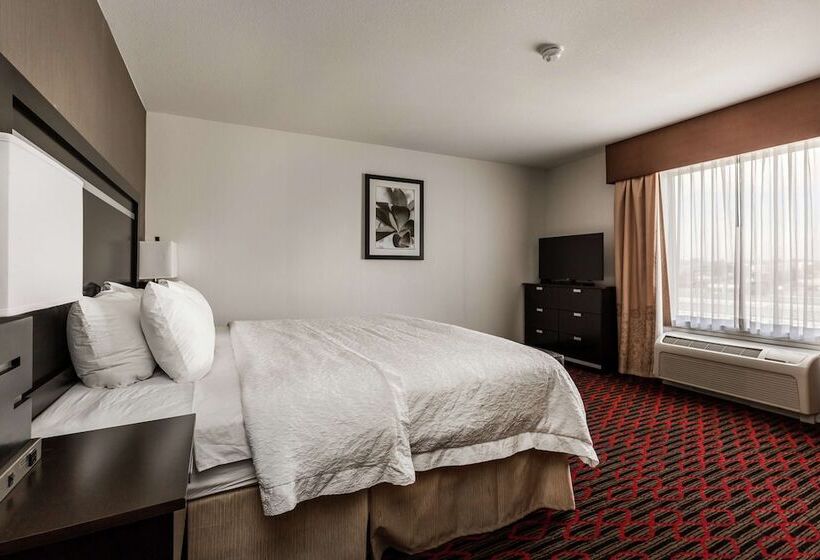 キングサイズベッドのスタンダードルーム, Hampton Inn & Suites By Hilton Lethbridge