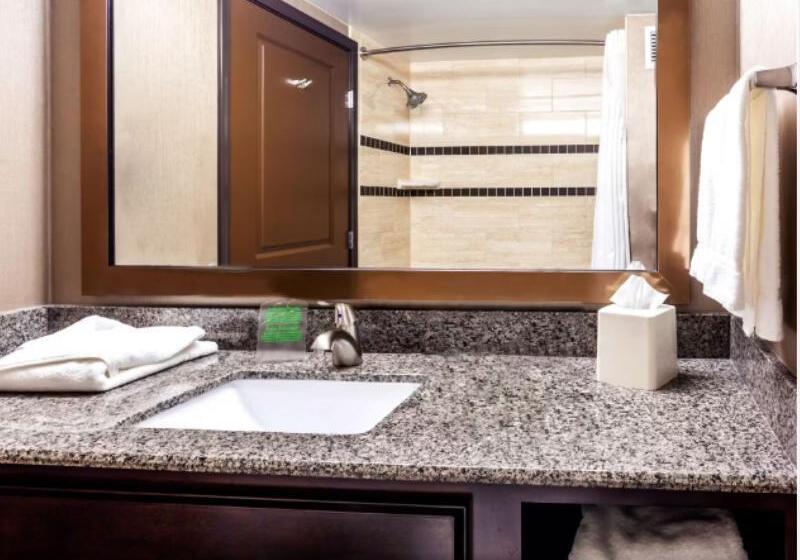 Стандартный Номер Кровать Кинг, Holiday Inn Express Hotel & Suites Cheyenne, An Ihg