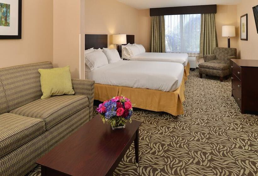 스위트, Holiday Inn Express Fresno River Park Highway 41, An Ihg