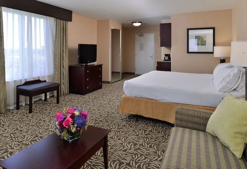 스위트, Holiday Inn Express Fresno River Park Highway 41, An Ihg