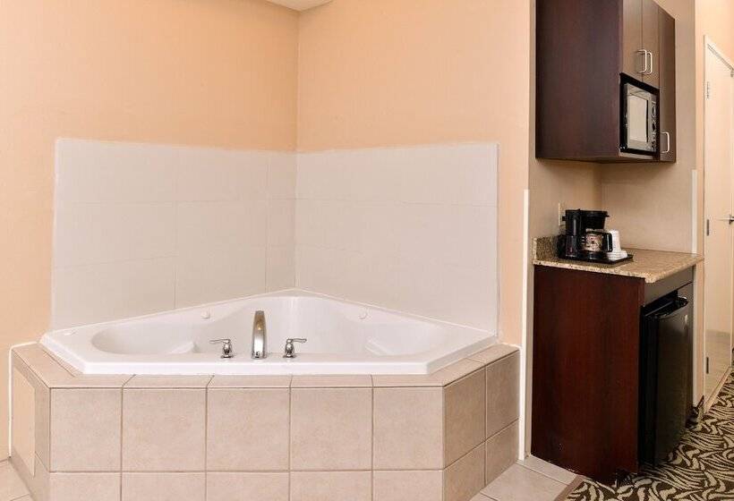 스위트, Holiday Inn Express Fresno River Park Highway 41, An Ihg