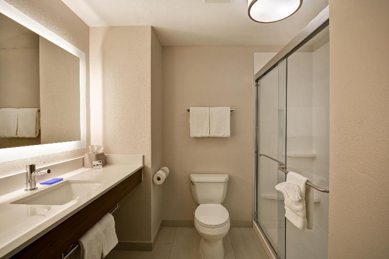 이그제큐티브 스위트 킹침대, Holiday Inn Express Fresno River Park Highway 41, An Ihg