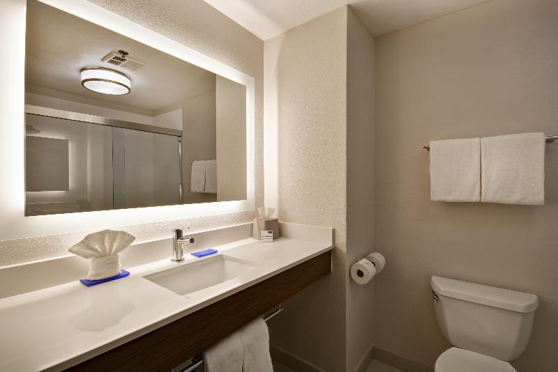 이그제큐티브 스위트 킹침대, Holiday Inn Express Fresno River Park Highway 41, An Ihg
