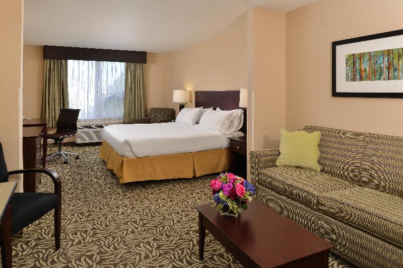 이그제큐티브 룸 킹사이즈 침대, Holiday Inn Express Fresno River Park Highway 41, An Ihg