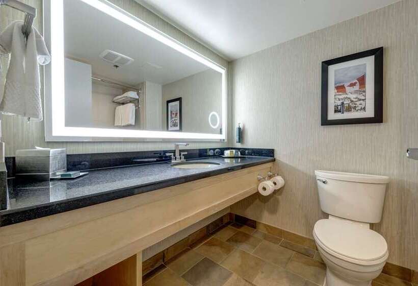 استودیو استاندارد با تخت کینگ, Indigo Guadalajara Expo, An Ihg