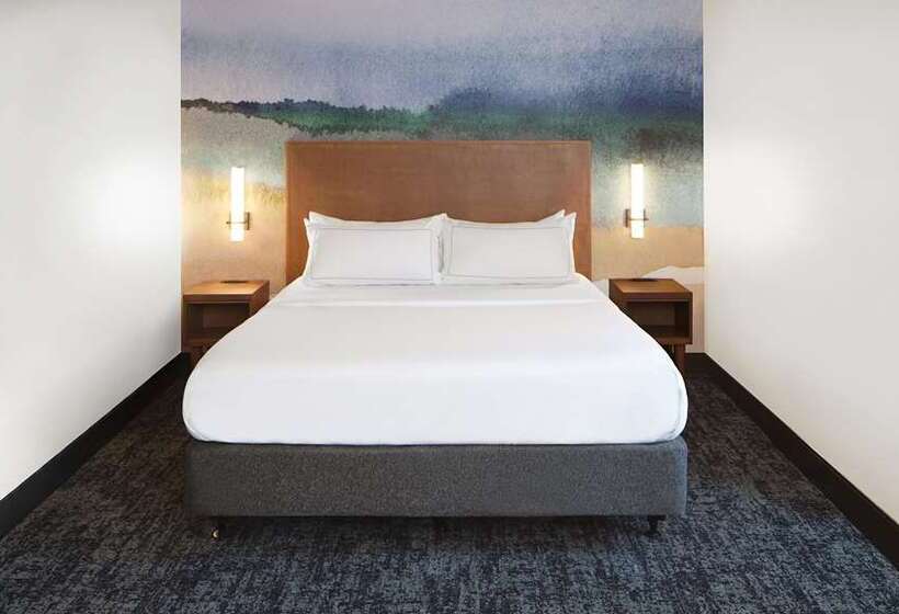 استودیو استاندارد با تخت کینگ, Indigo Guadalajara Expo, An Ihg