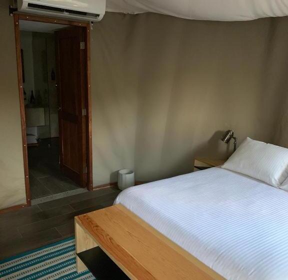 豪华套房, Hostal De La Luz
