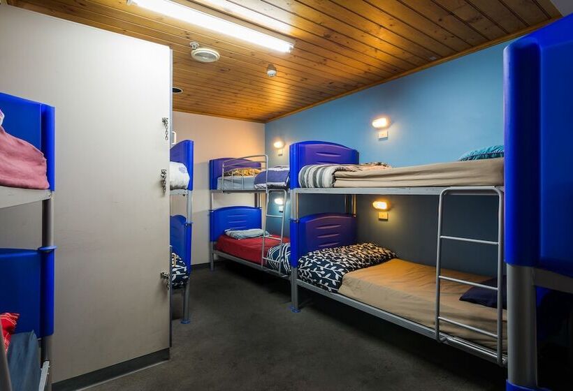 스탠다드 룸, Blue Galah Backpackers Hostel