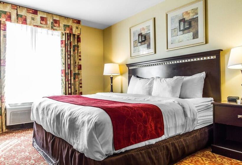 Люкс, Comfort Suites Vacaville Napa Valley Area