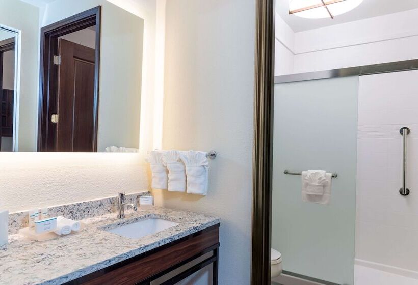 Studio Standard Łóżko Małżeńskie, Homewood Suites By Hilton Indianapolisdowntown