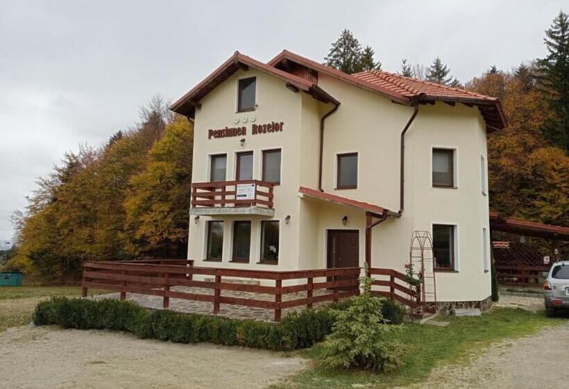Дом 1 Спальня, Pensiunea Rozelor Stațiunea Climaterică Sâmbăta