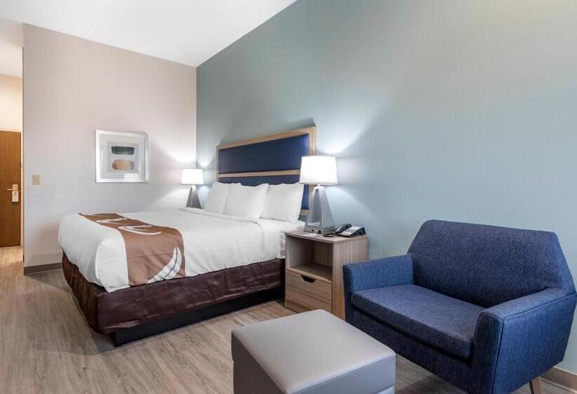 스탠다드 룸 킹사이즈 침대, Quality Inn Lebanon  Nashville Area