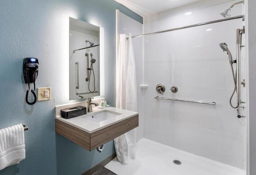장애인을 위한 킹사이즈 침대 스탠다드 룸, Quality Inn Lebanon  Nashville Area