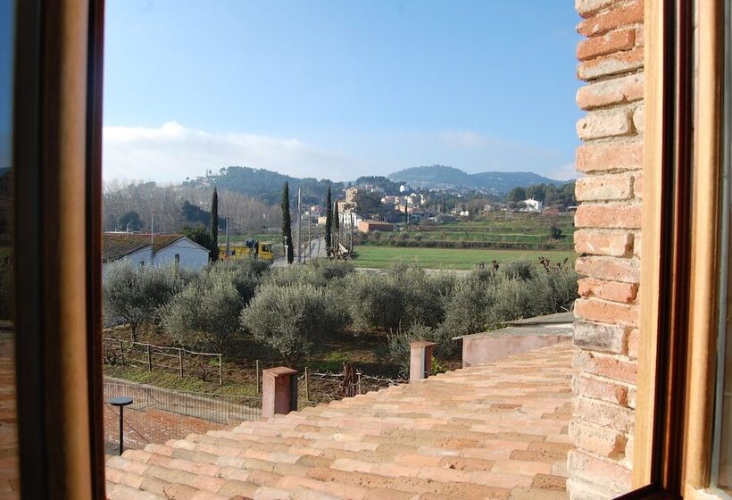 اتاق استاندارد یک نفره, Moli De La Torre