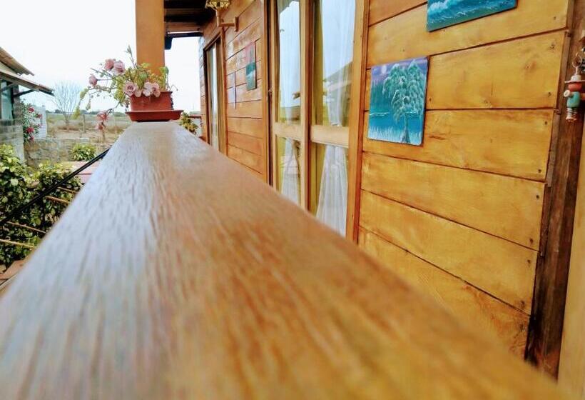 اتاق استاندارد, Buganvilla Guest House