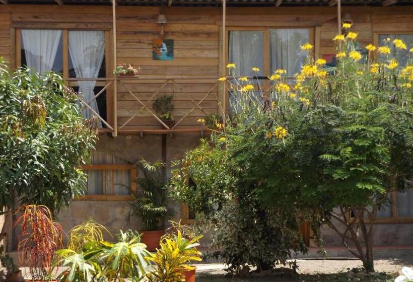 Economy Triple Room, Buganvilla Guest House