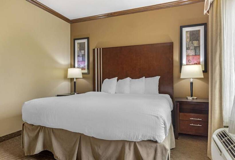 Люкс Адаптированный для Инвалидов, Best Western Plus Texoma Hotel & Suites