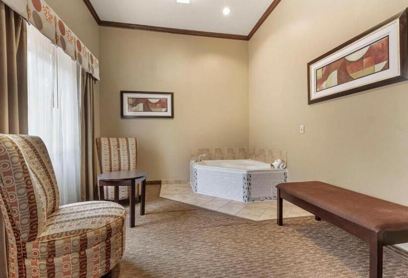 Люкс Кровать Кинг, Best Western Plus Texoma Hotel & Suites