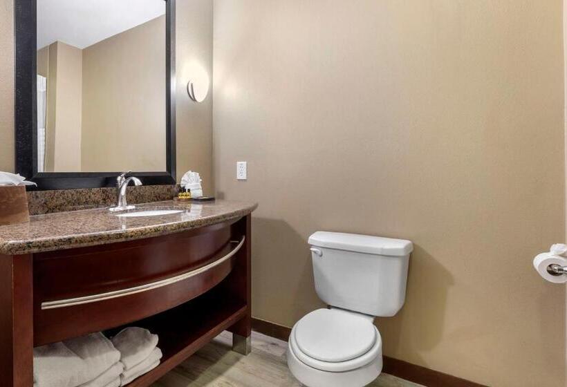 Люкс Кровать Кинг, Best Western Plus Texoma Hotel & Suites