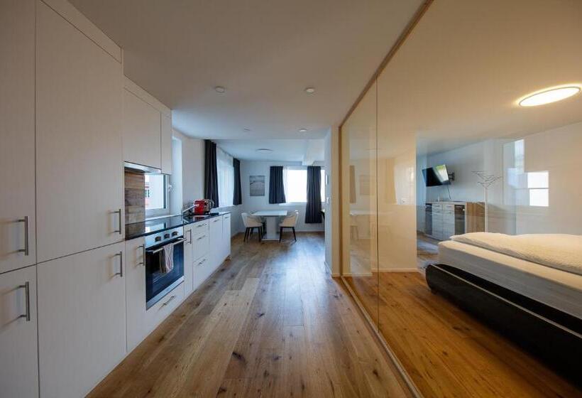 Апартаменты 1 Спальня, Welcome Apartments Spiez