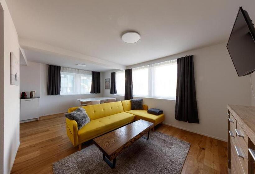 Апартаменты 1 Спальня, Welcome Apartments Spiez