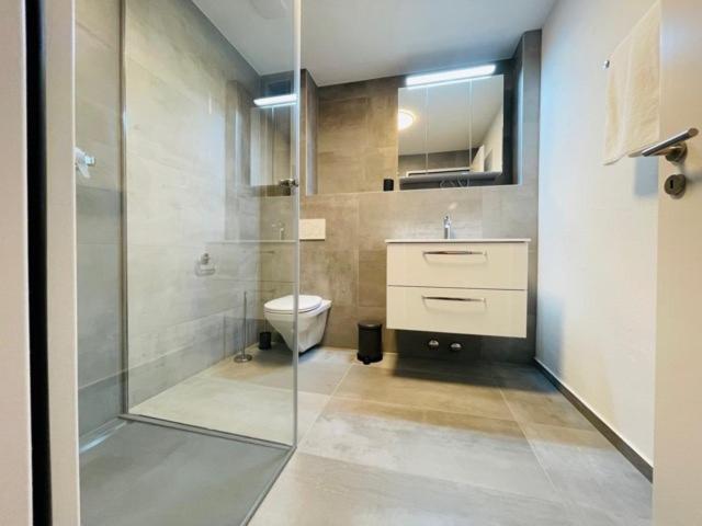 Апартаменты 1 Спальня, Welcome Apartments Spiez